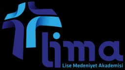 Lise Medeniyet Akademisi