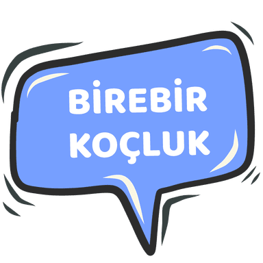 Birebir Koçluk